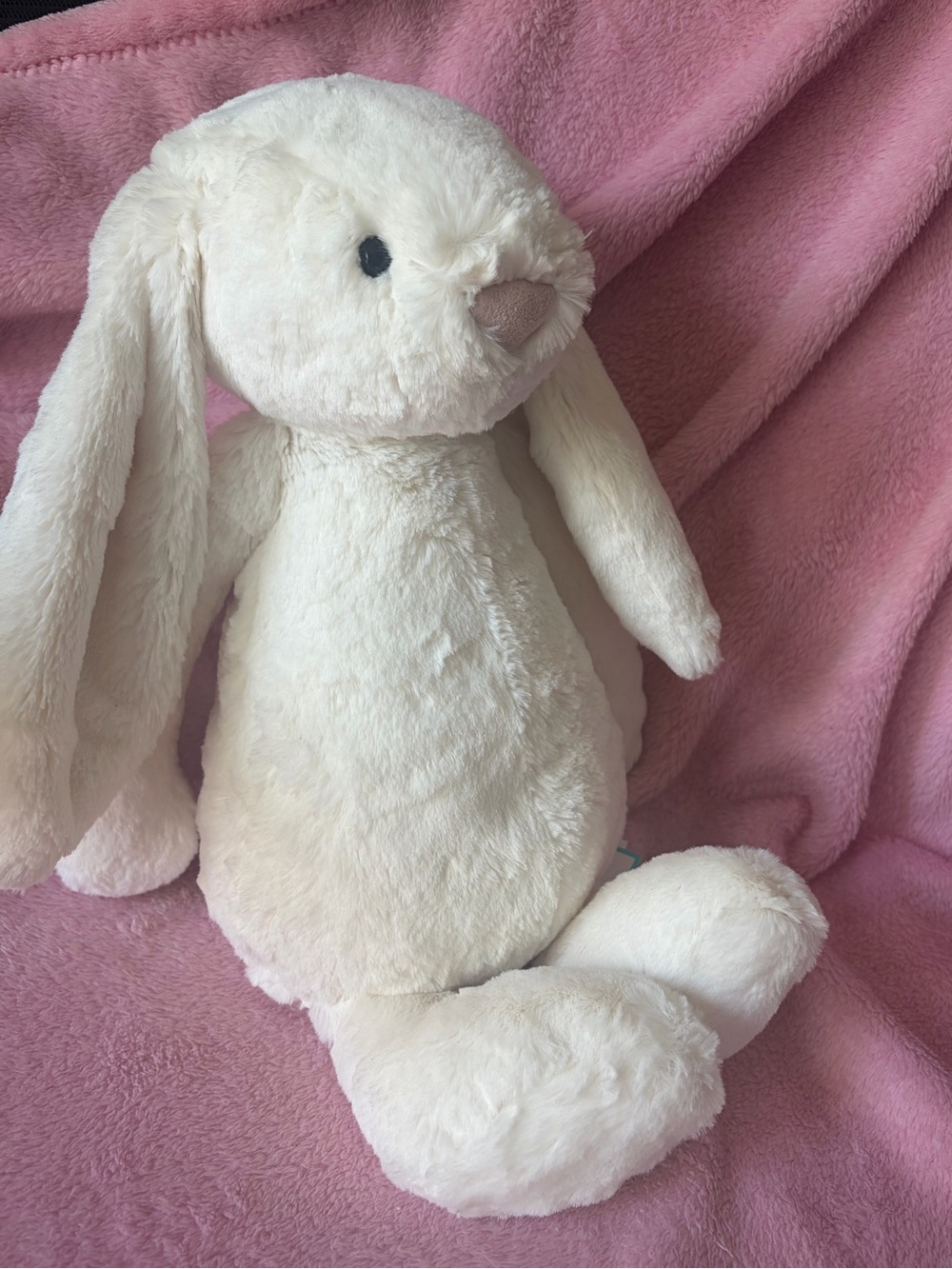 BNWT Jellycat Large 14” Bashful Cream Bunny HTF! RARE! NEW!